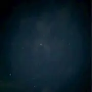 まゆ