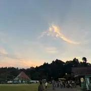 たまんの画像