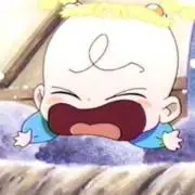 百の画像