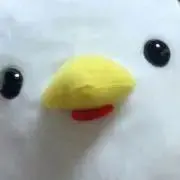 にわこの画像