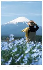 H-Shopの画像