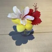 sammy-cの画像