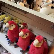 えんぶんぼ@7/21-26発送できませんの画像