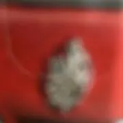 ホルン（自己紹介に取引詳細有）の画像