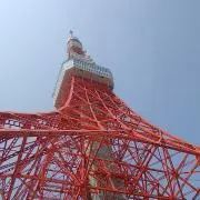 ☆tk☆の画像