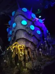 はらおっき