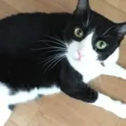 え♡