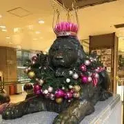 なまこの画像