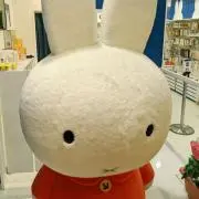 かこの画像