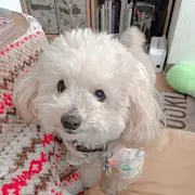 MIE smile!