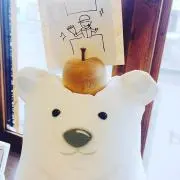 ひよりの画像