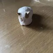 ひだまりの画像