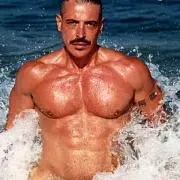 後藤純男の画像