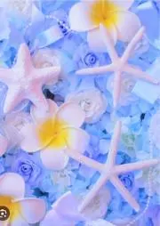 ❃purumeria❃