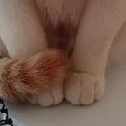 Me-