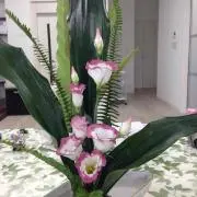レオナルドの画像