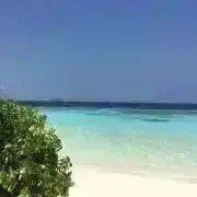みな♪の画像