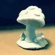 TOMOの画像