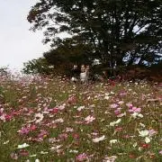 あおかい
