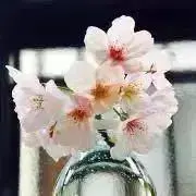 chanpoの画像