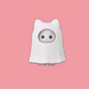りーちゃんの画像