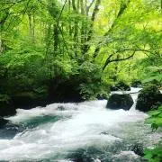 のりゆうの画像