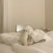 u.の画像