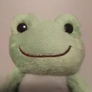 ぷこの画像