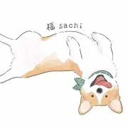 Sachi