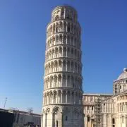 カロの画像