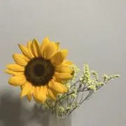 Ruumaniaの画像
