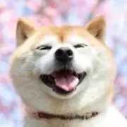 BANSHEEの画像