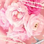 薔薇姫の画像