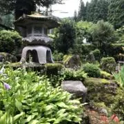 ニシバタの画像