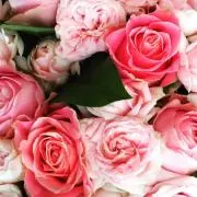 じぇじゅこ♡