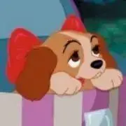 Sの画像