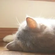 かずみんの画像