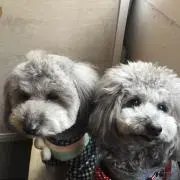 m*)様 福山雅治　Hiroshi Seo 写真額入り m*)様 福山雅治 Hiroshi Seo 写真額入り｜福山雅治 Hiroshi Seo 写真