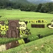 まっきー