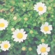 るん