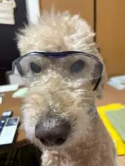 みくりん