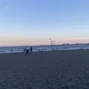 みやの画像