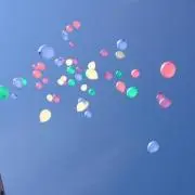 ひろの画像