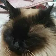 Ryuuuuuukun