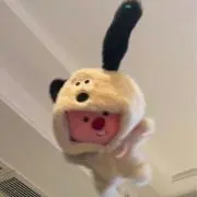 あいか