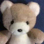 アサの画像
