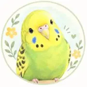 スノーボール| 2日以内発送の画像
