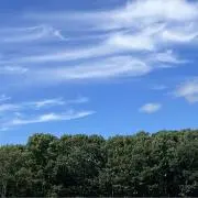 蓮　無言購入大歓迎♡の画像