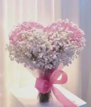 flowerの画像