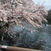 いらっしゃいませの画像